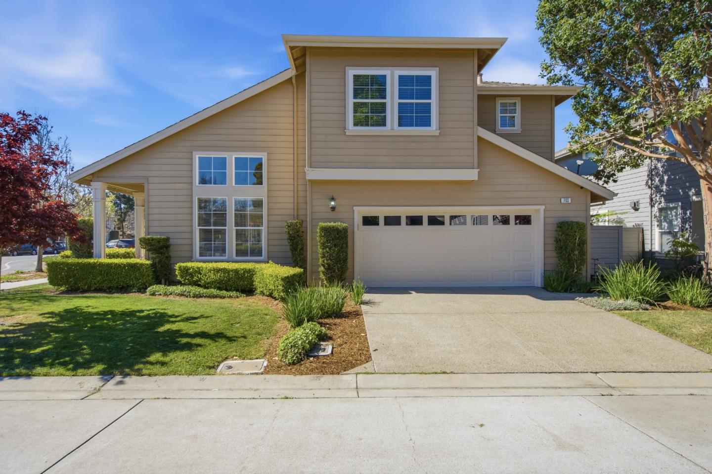 703 Lacewing Lane