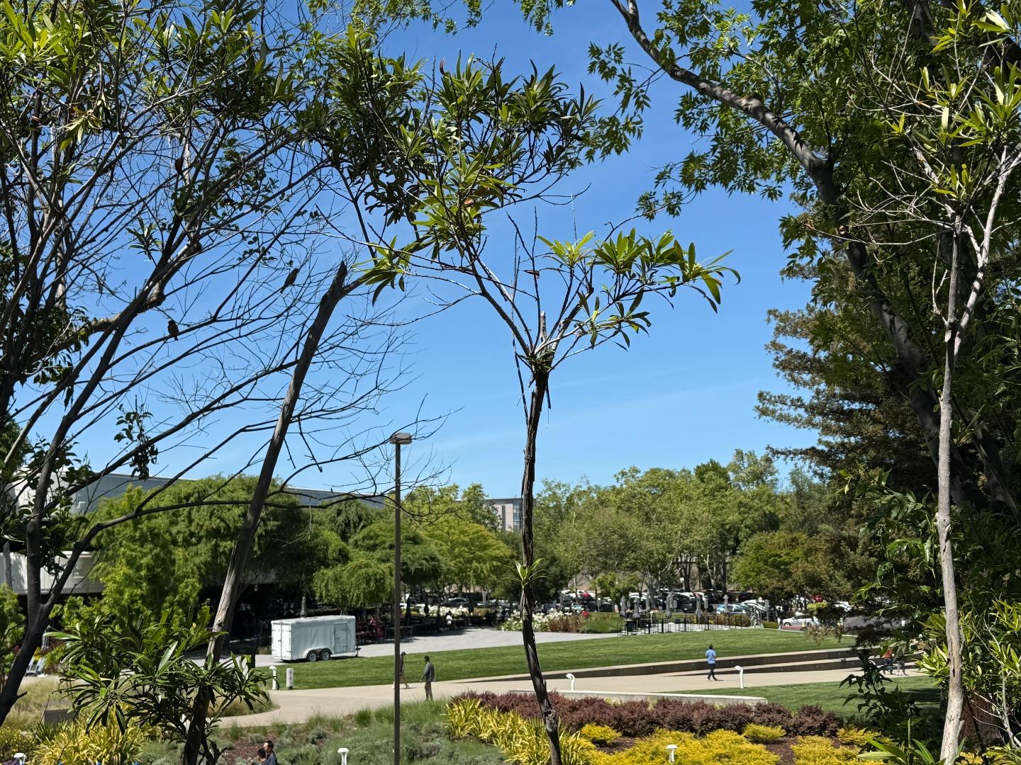 466 Costa Mesa Terrace G