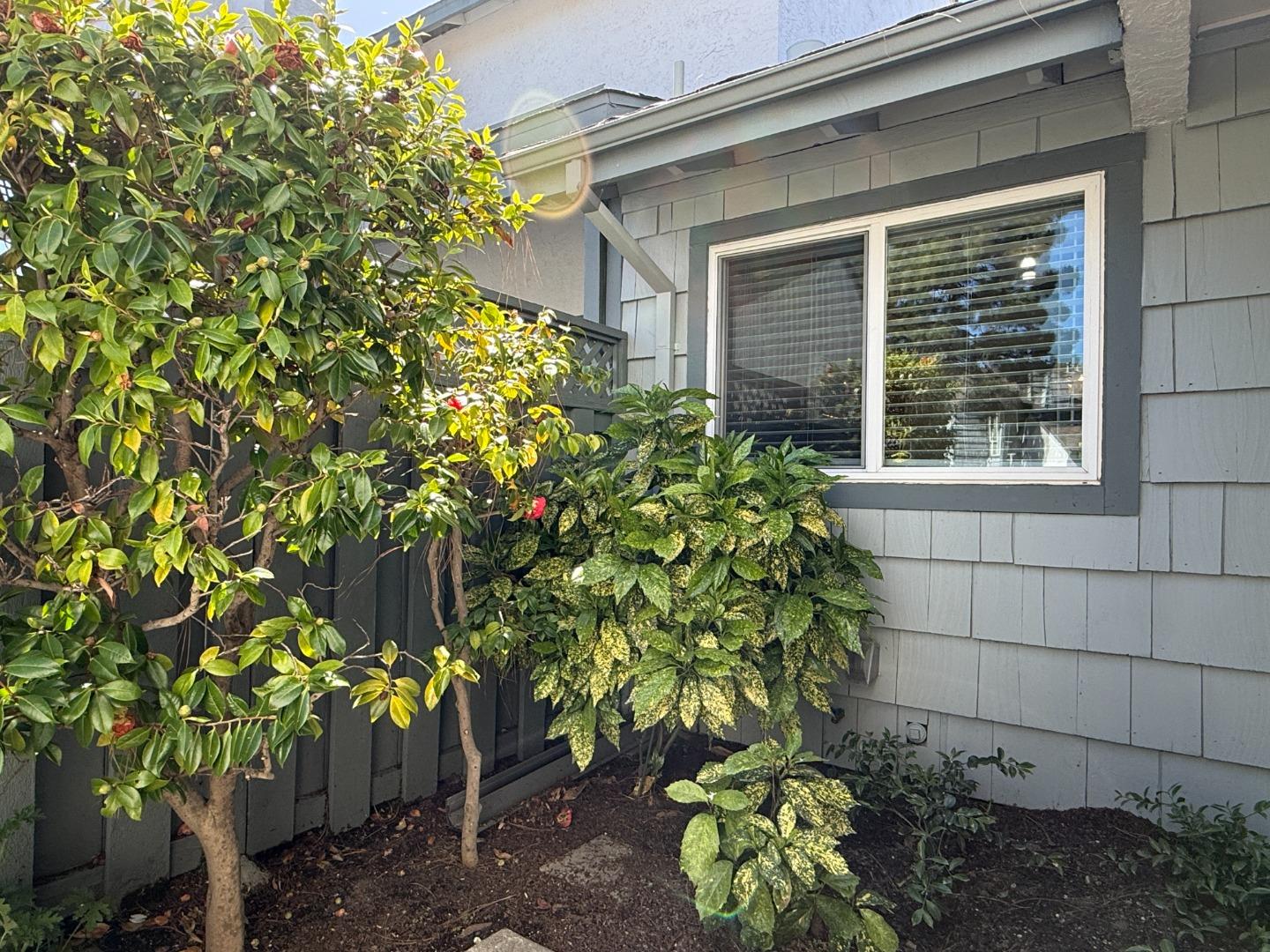 972 Diaz Lane