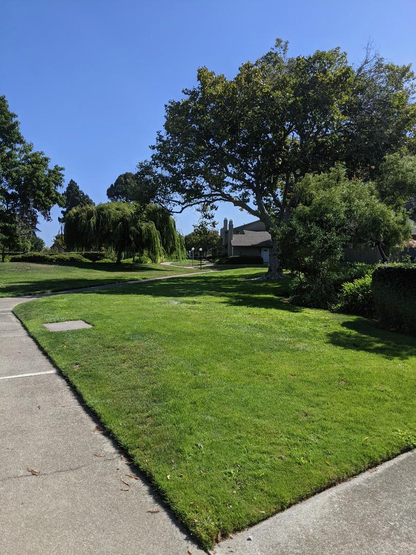 1041 Grebe Street