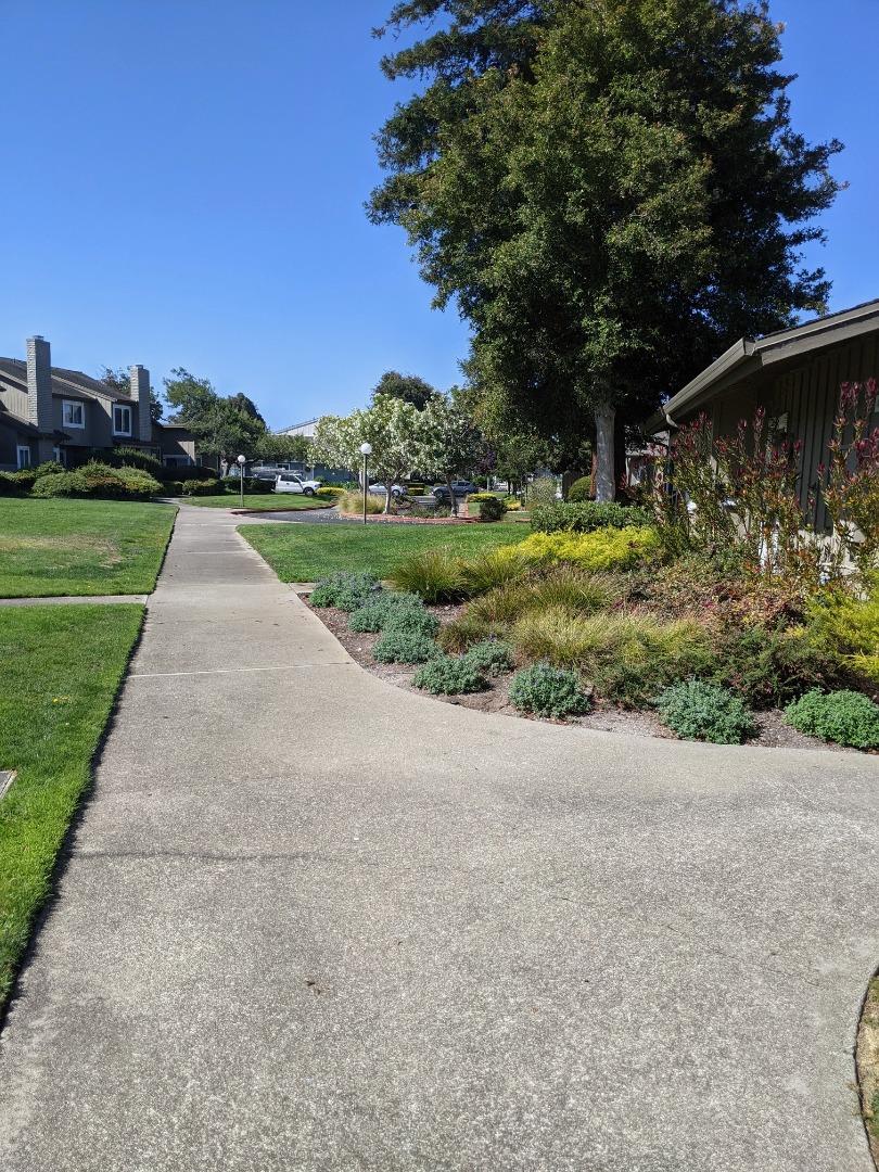 1041 Grebe Street