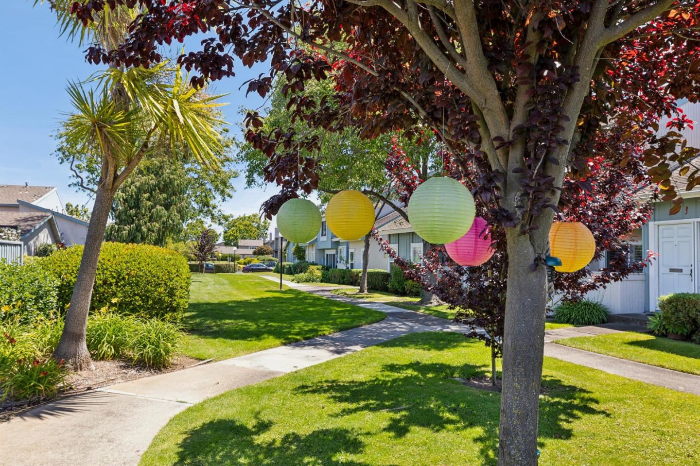 1035 Dove Lane