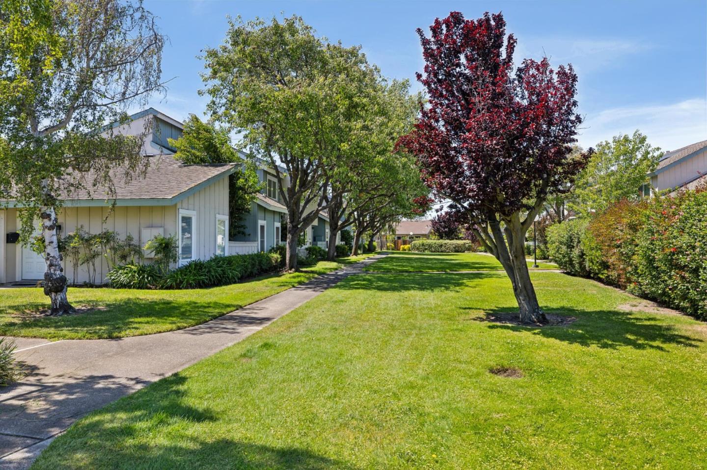 1035 Dove Lane