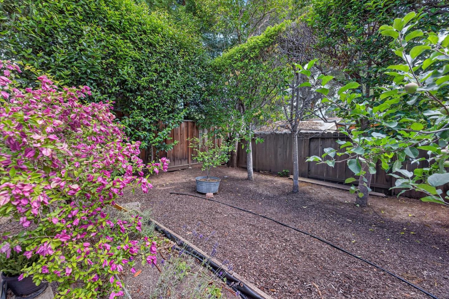 3723 Alameda De Las Pulgas
