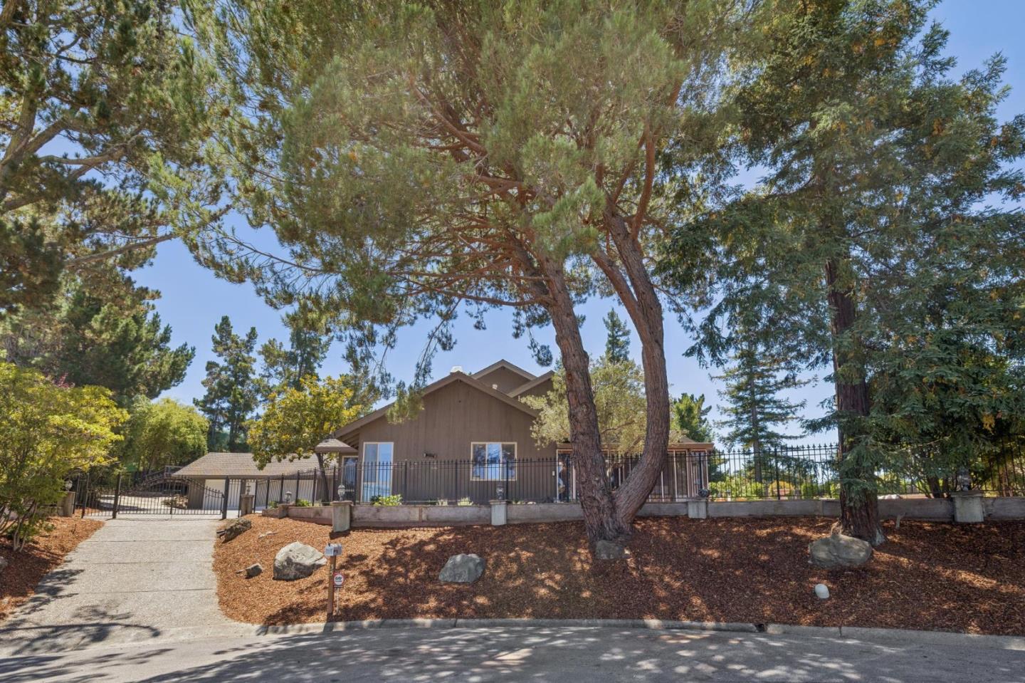 35 Silk Tree PL