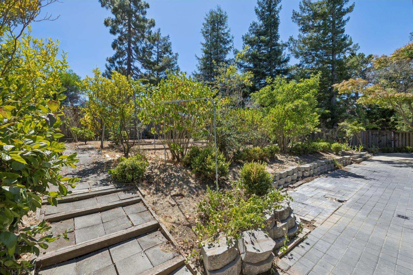 35 Silk Tree PL