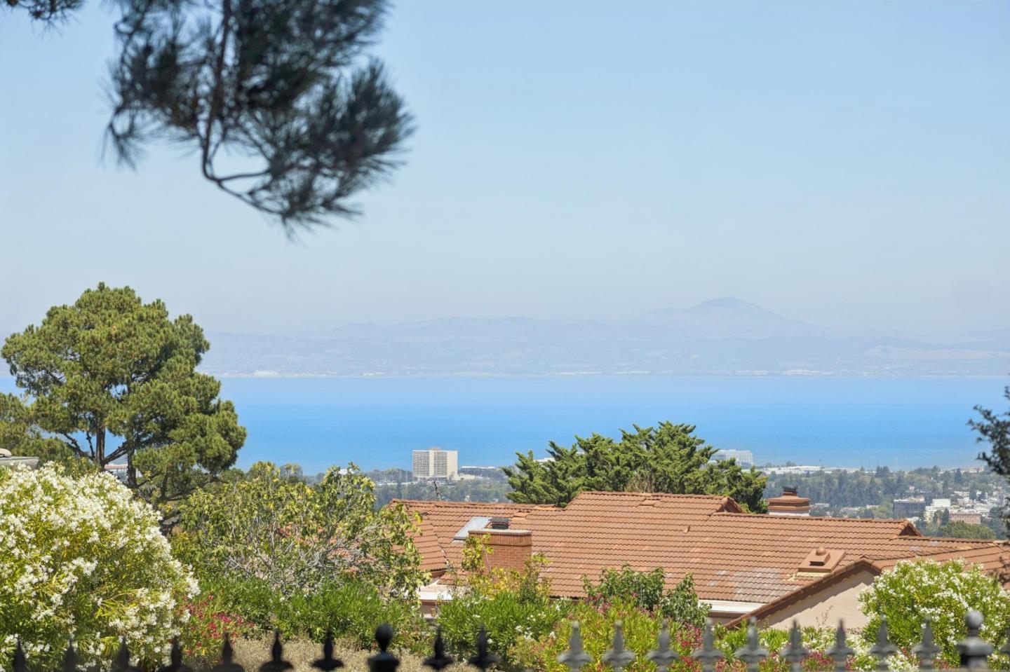 35 Silk Tree PL