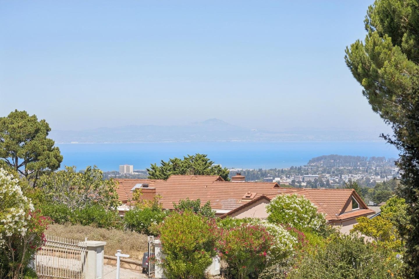 35 Silk Tree PL