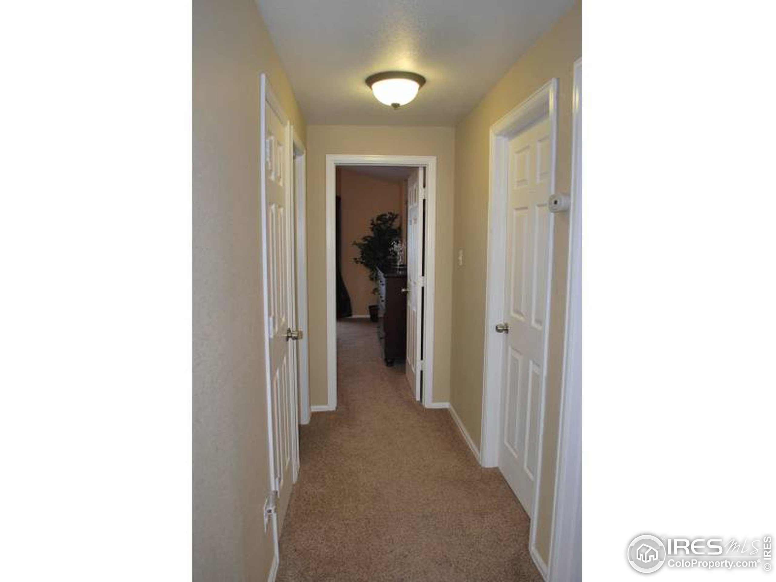 3132 W Yarrow Cir