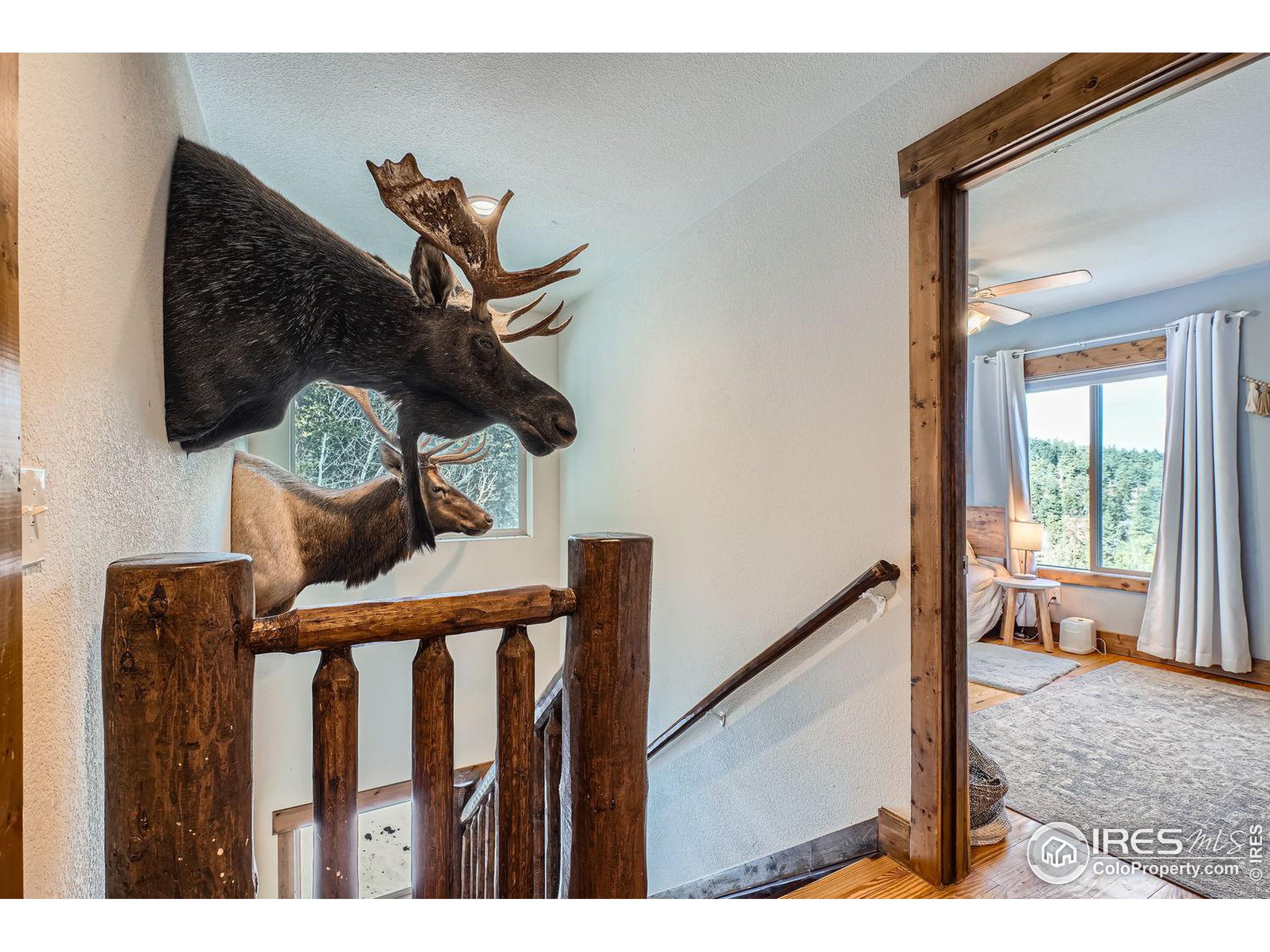 11932 Coal Creek Heights Dr