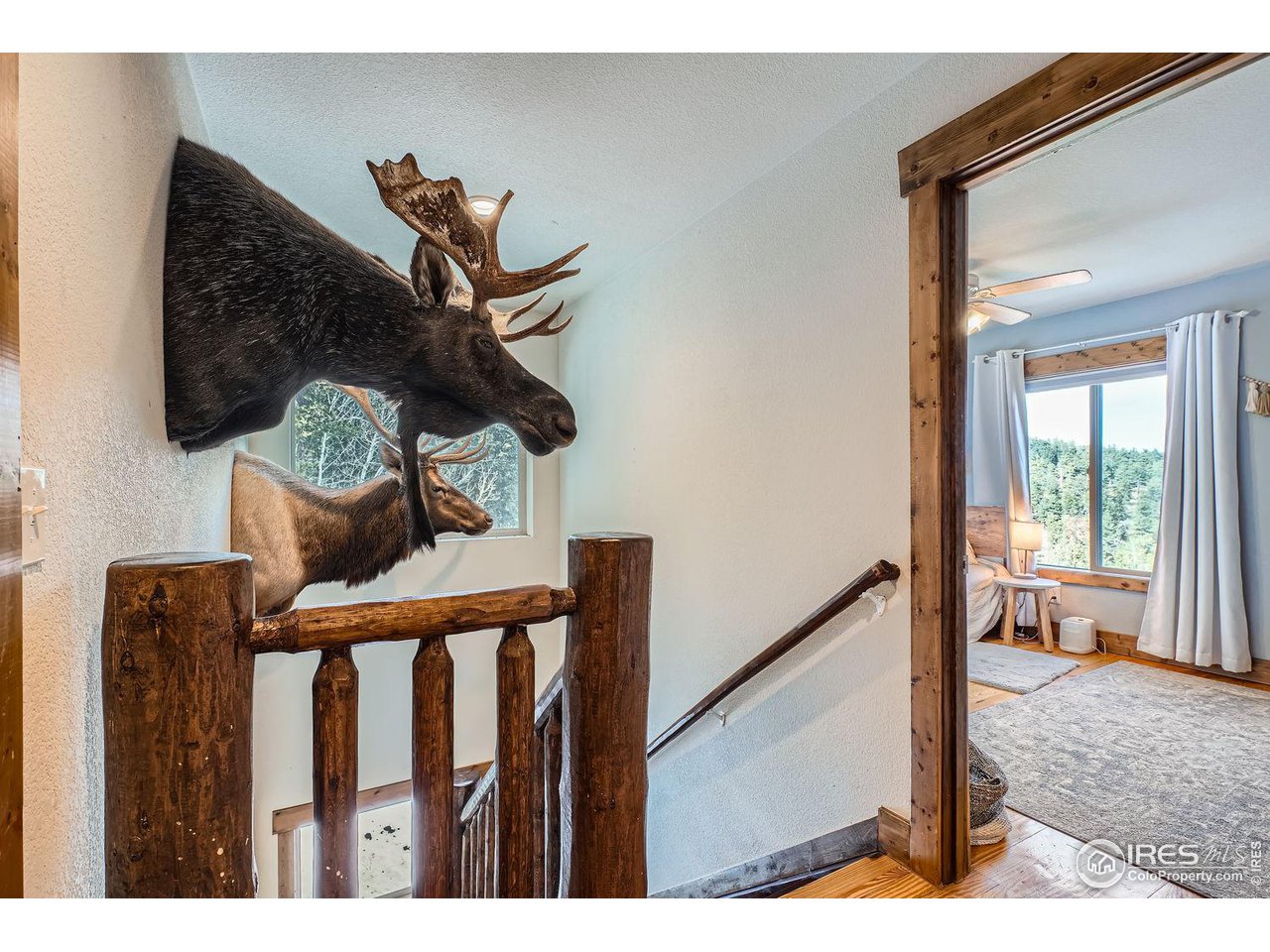 11932 Coal Creek Heights Dr