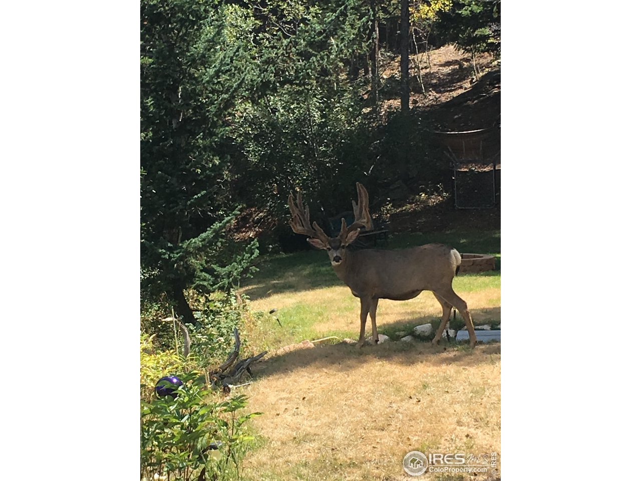 11932 Coal Creek Heights Dr