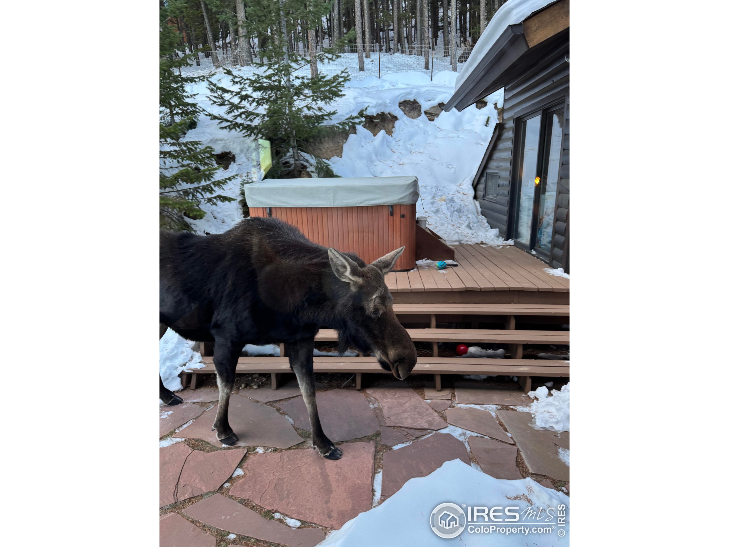 11932 Coal Creek Heights Dr