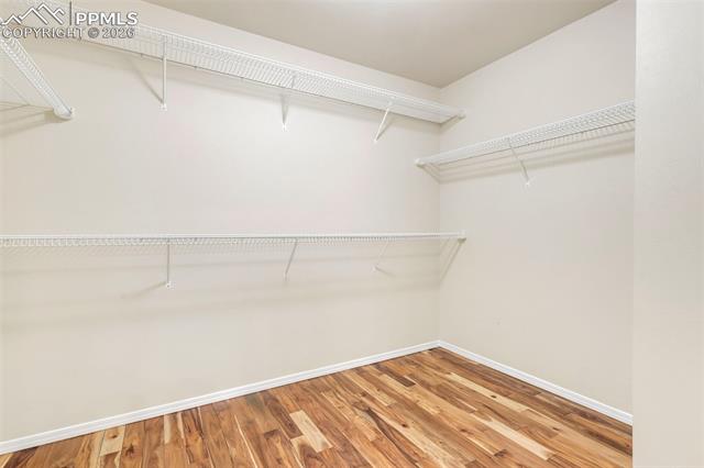 4268 Apache Plume Drive