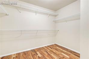 4268 Apache Plume Drive