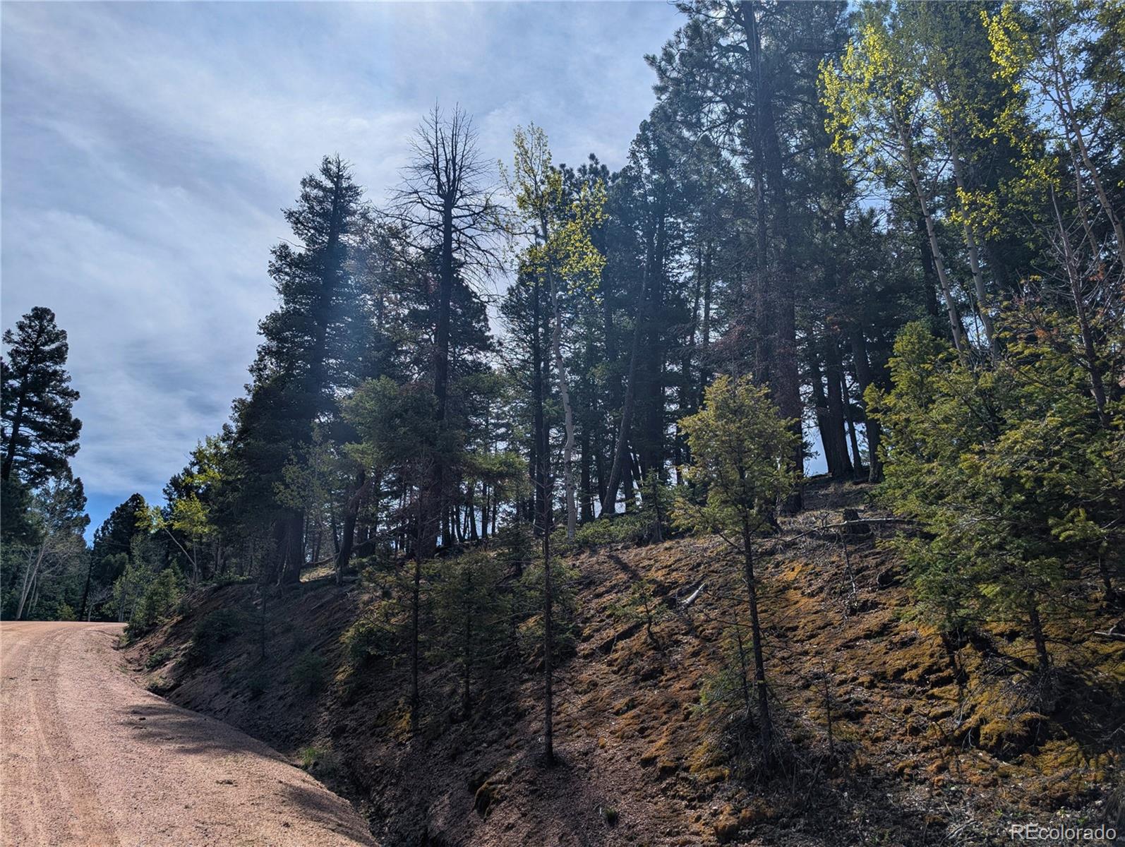 971 Spring Valley Lane