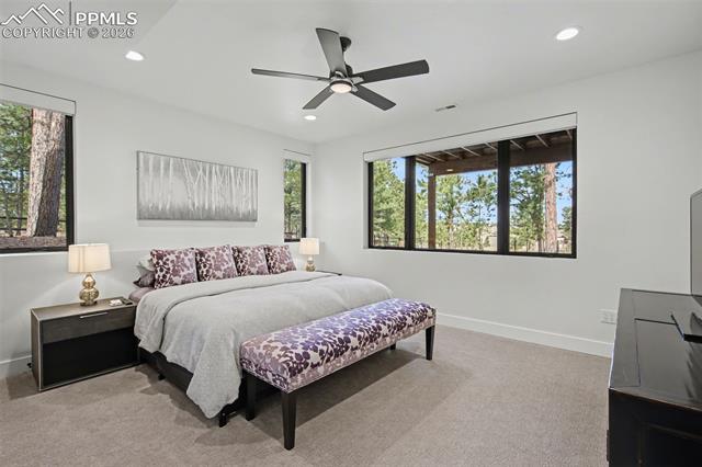 19125 Hilltop Pines Path