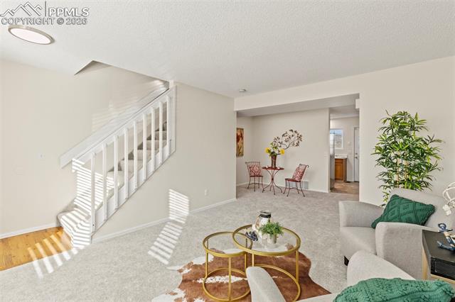 4809 Live Oak Drive