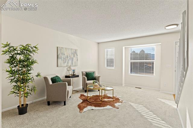 4809 Live Oak Drive