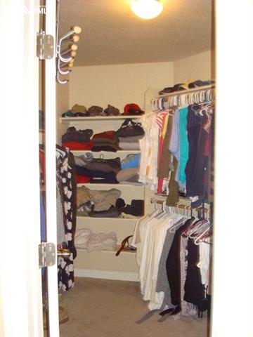 8428 Vanderwood Road