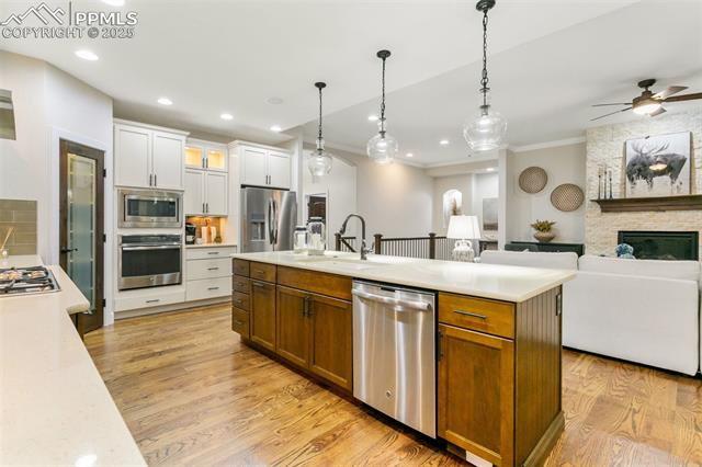 234 Coyote Willow Drive