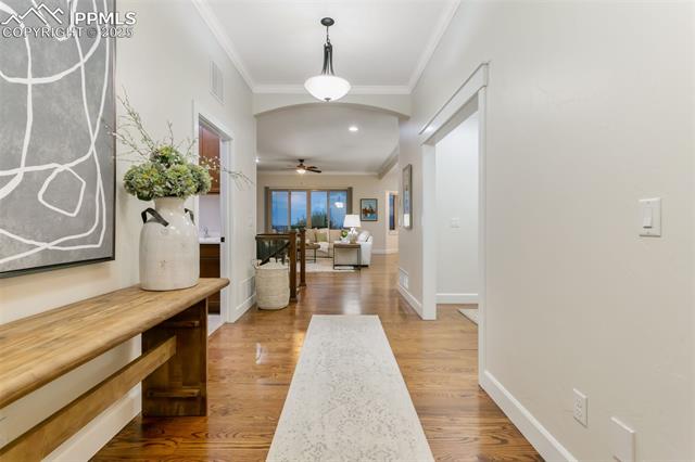 234 Coyote Willow Drive