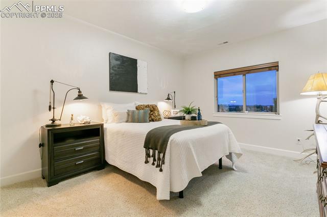 234 Coyote Willow Drive