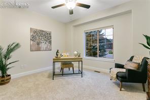 234 Coyote Willow Drive