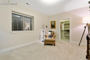 234 Coyote Willow Drive