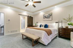 234 Coyote Willow Drive