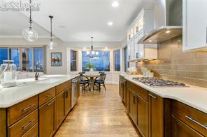 234 Coyote Willow Drive