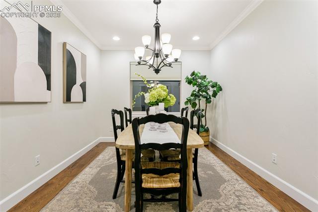 234 Coyote Willow Drive