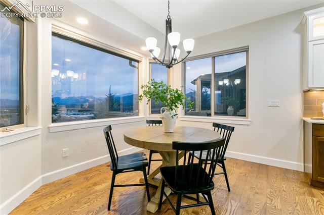 234 Coyote Willow Drive