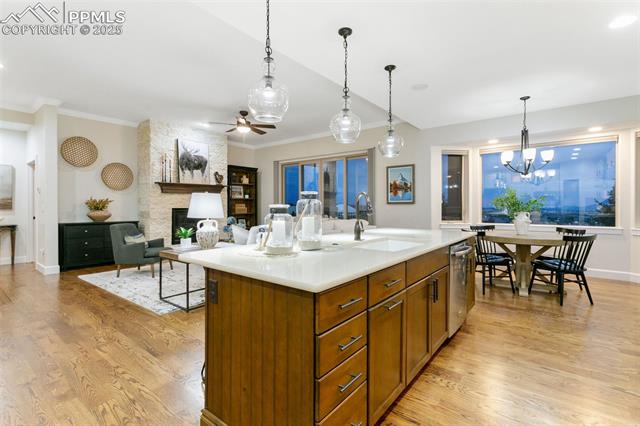 234 Coyote Willow Drive