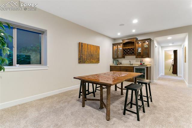 234 Coyote Willow Drive