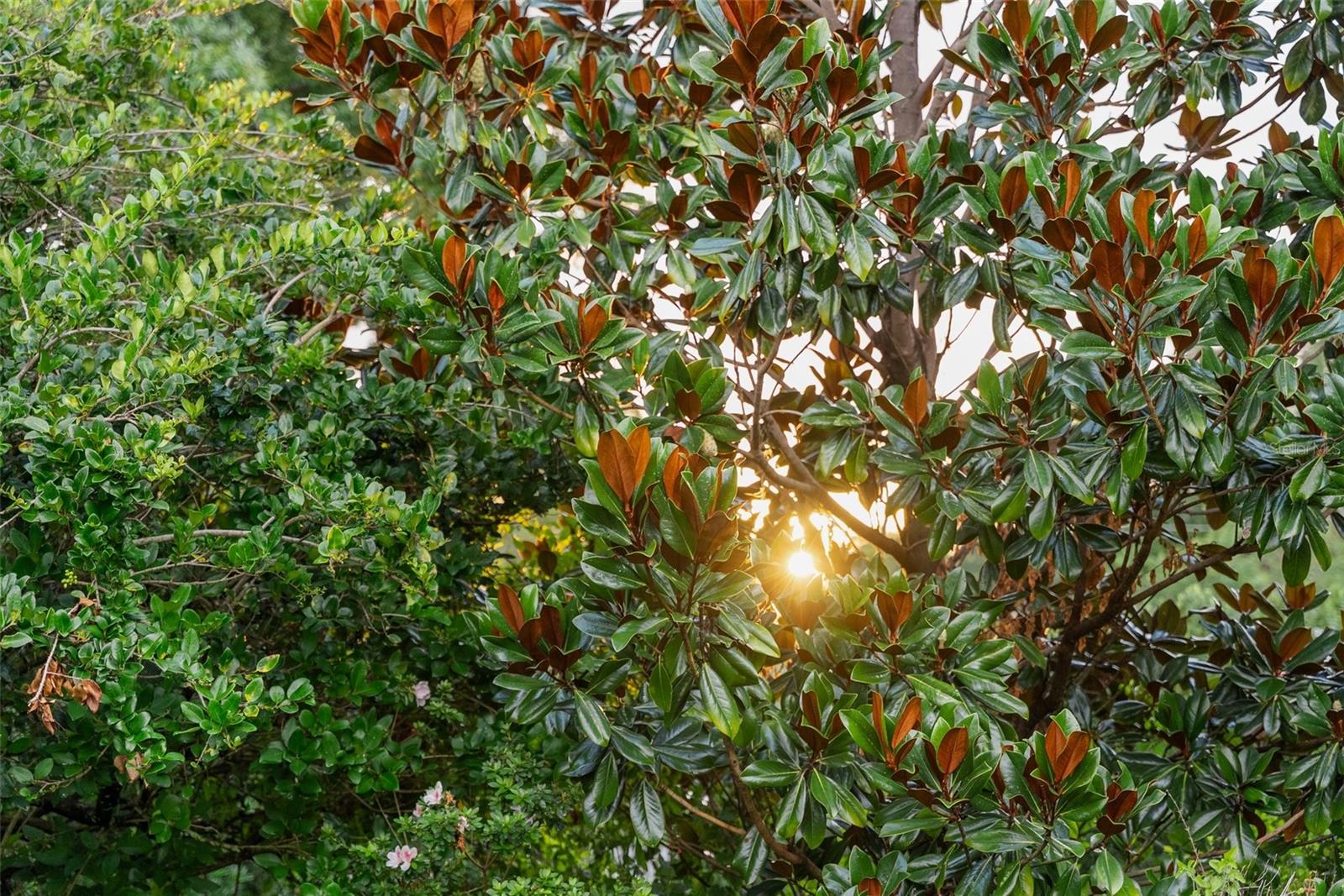 950 N LAKE OTIS DR SE