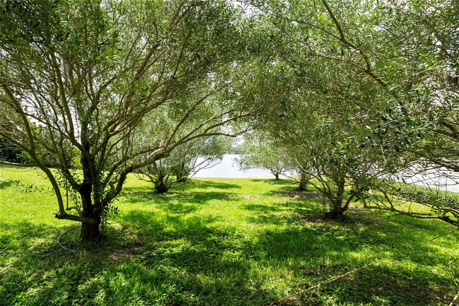 950 N LAKE OTIS DR SE