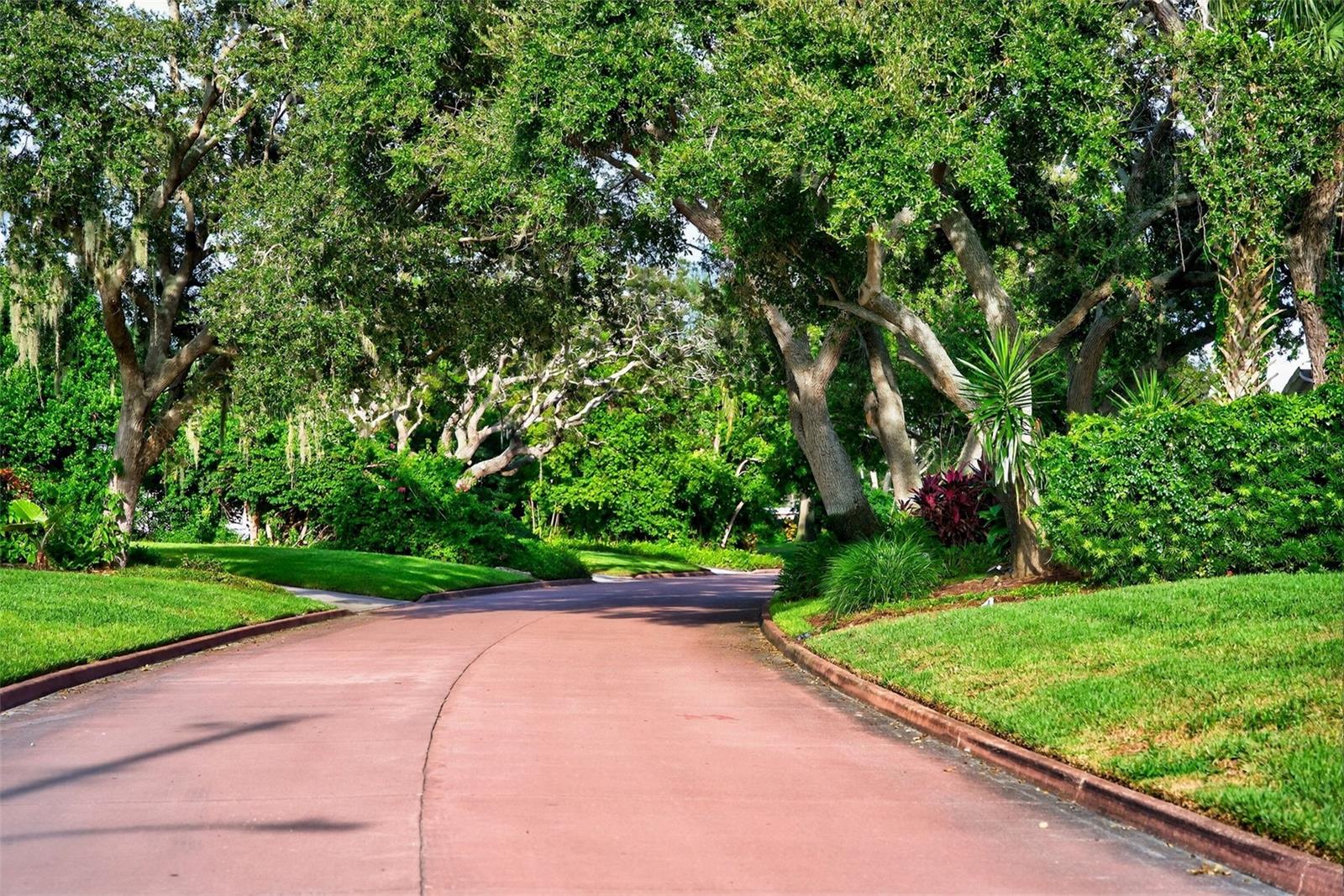 1835 SERPENTINE DR S