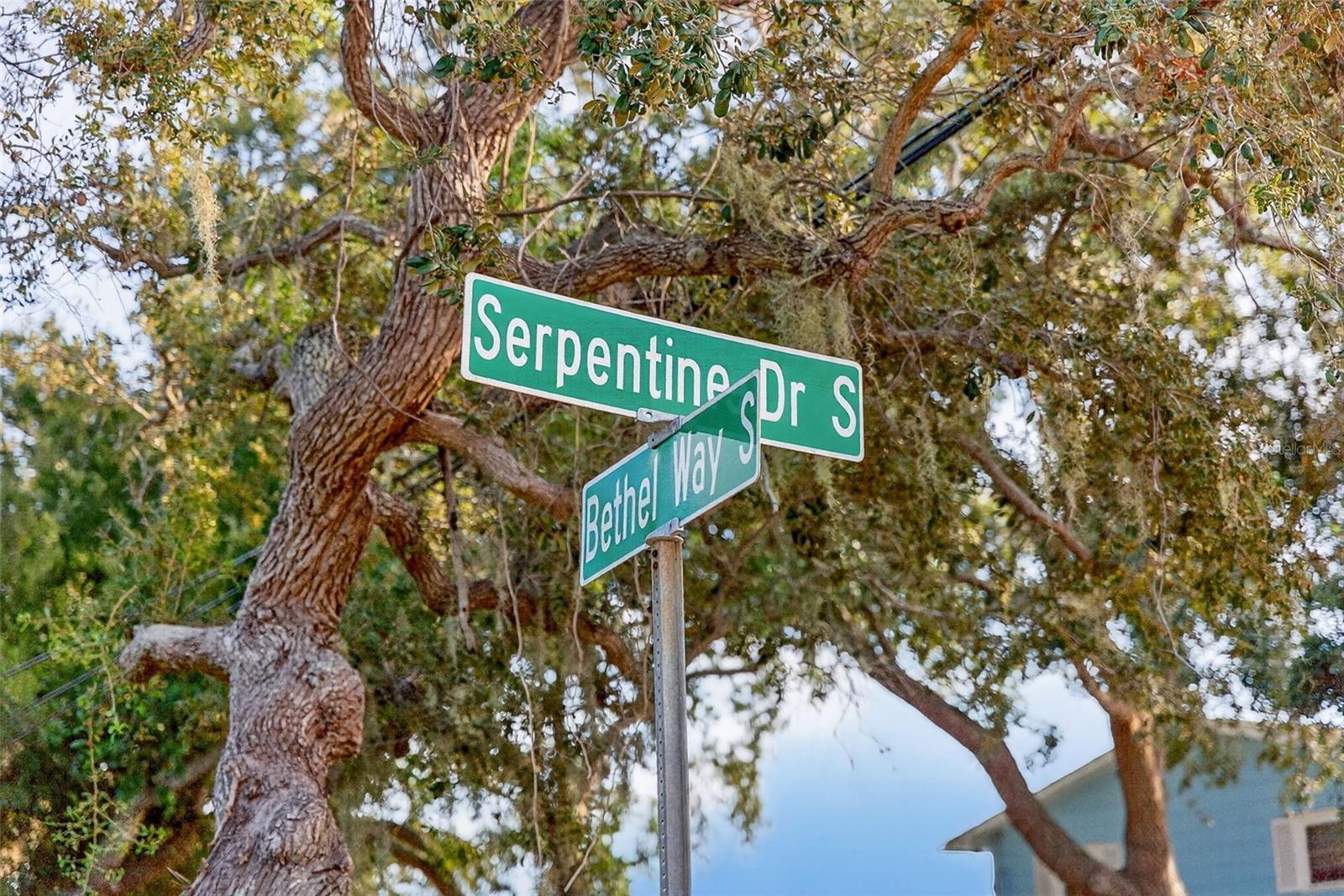 1835 SERPENTINE DR S