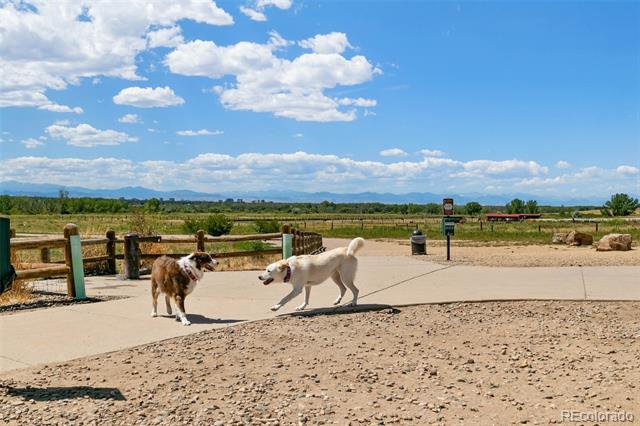 8420 Canyon Rim Trail Unit: 305
