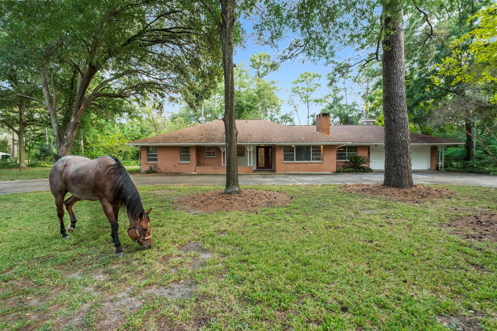9821 Shadow Wood Drive
