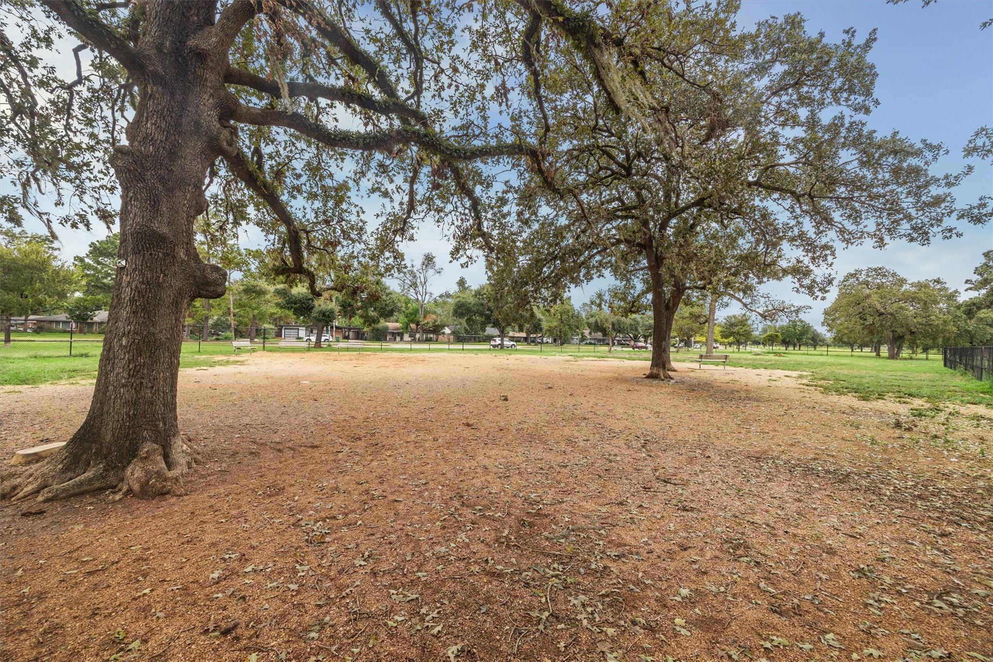 4410 Libbey Lane
