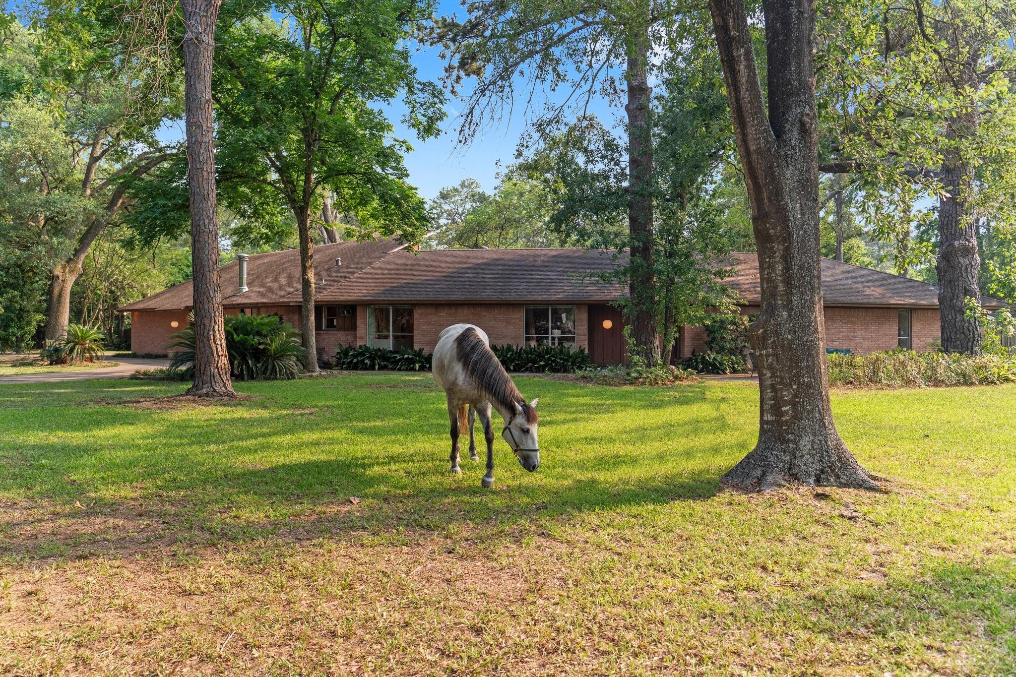 9809 Neuens Road