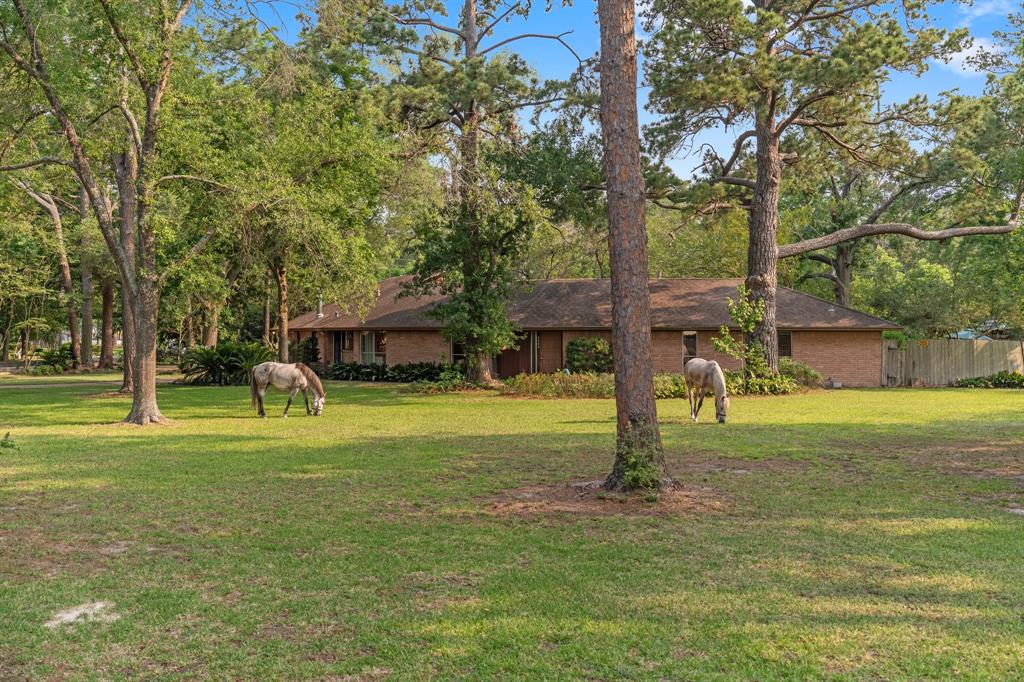 9809 Neuens Road
