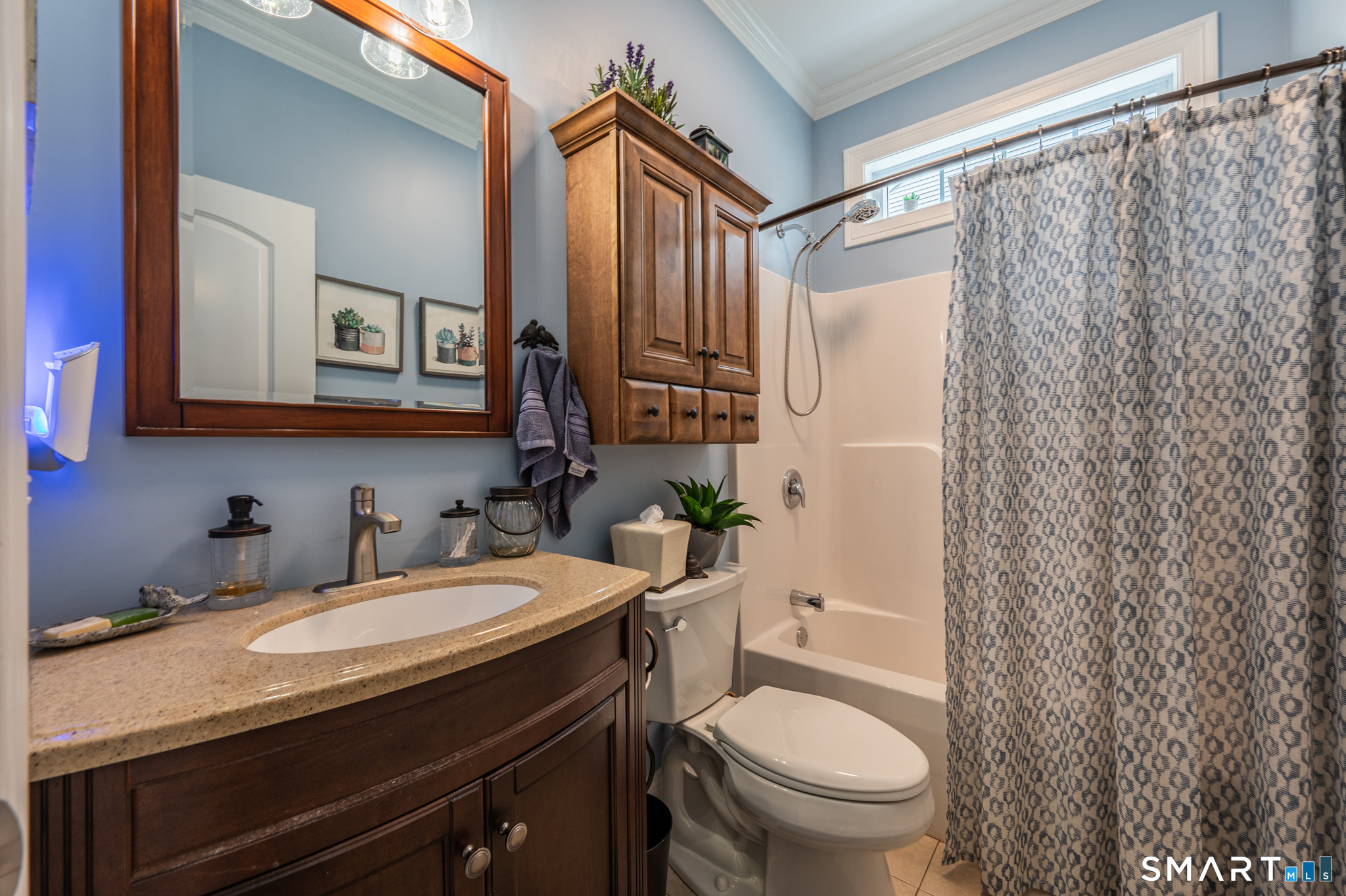 11 Webster Lane 6