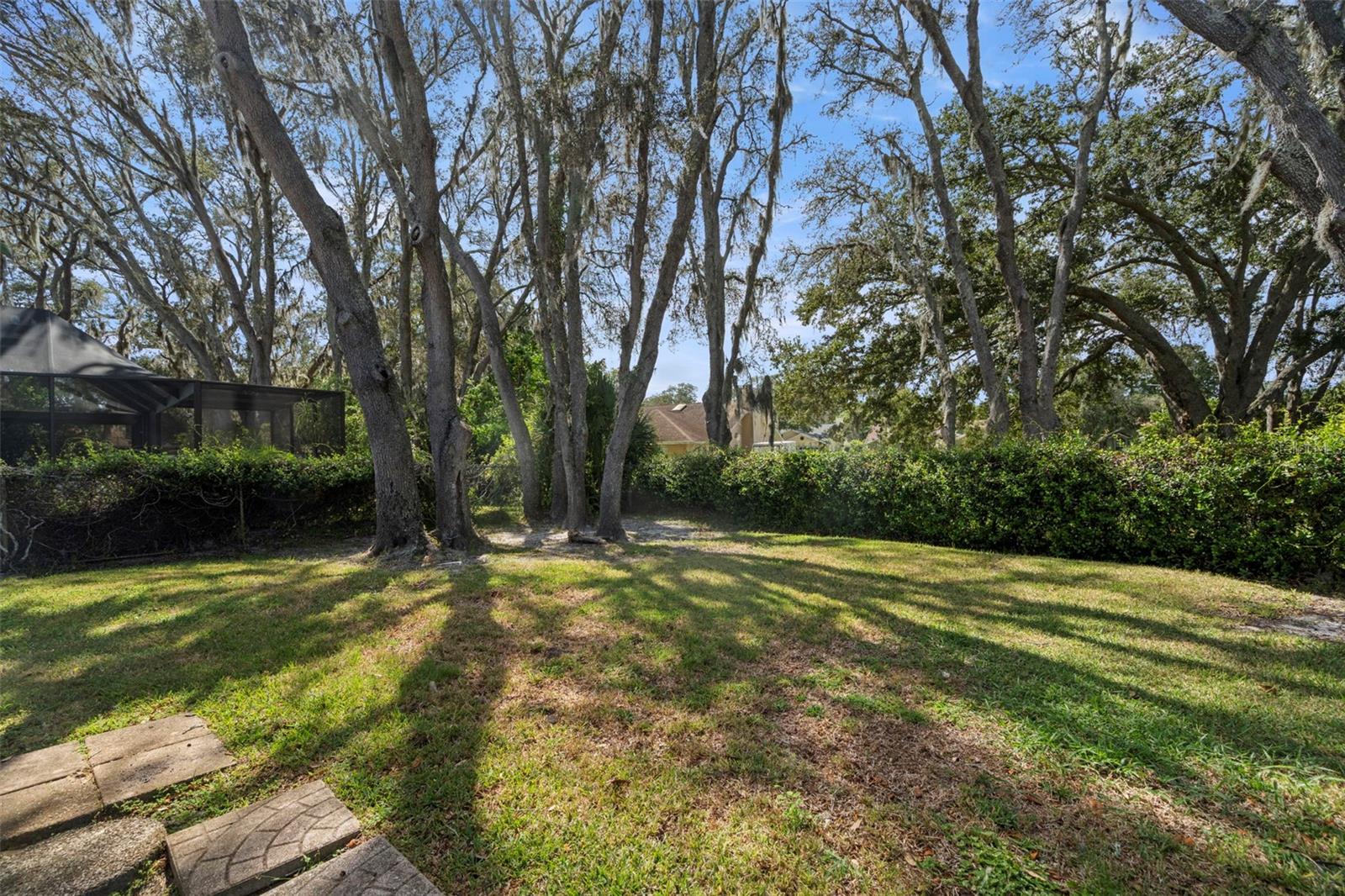 3177 O'HARA DR