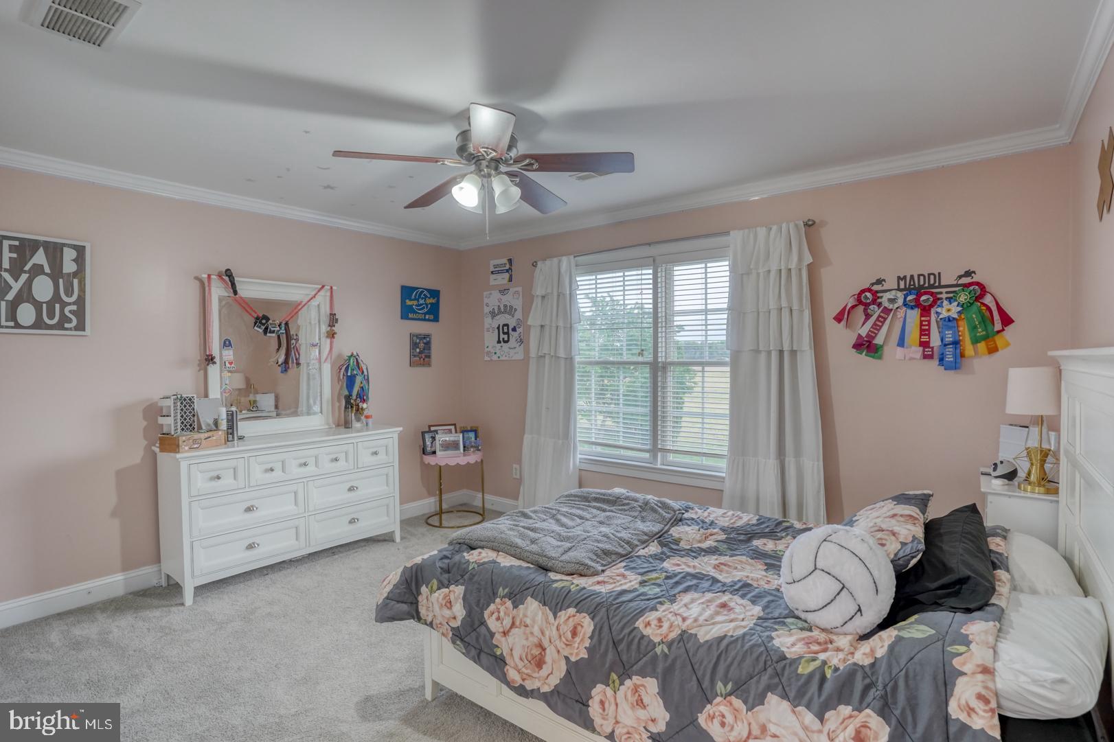 245 Waterfowl Dr