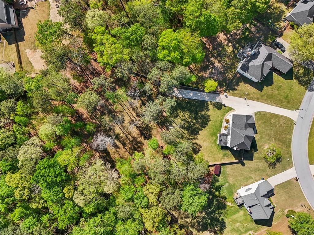 1961 Flowering Drive