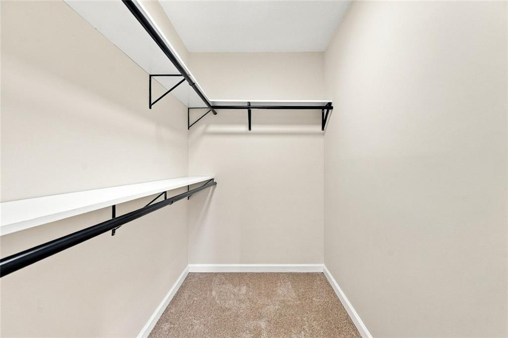 Walk-in closet with carpeted floor and black hanging rods beneath white shelves.