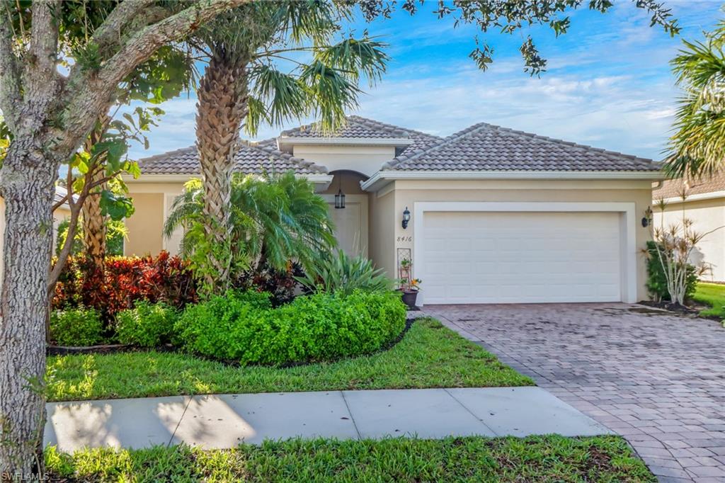 8416 Benelli CT